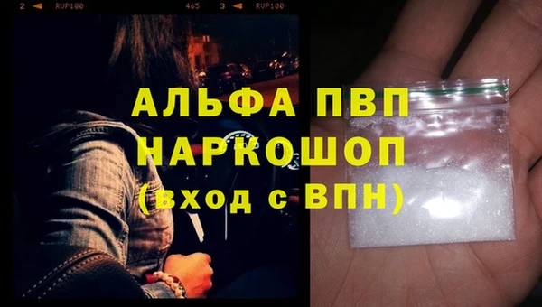 прущие грибы Новокубанск