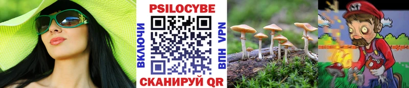 Галлюциногенные грибы Magic Shrooms  Иваново 