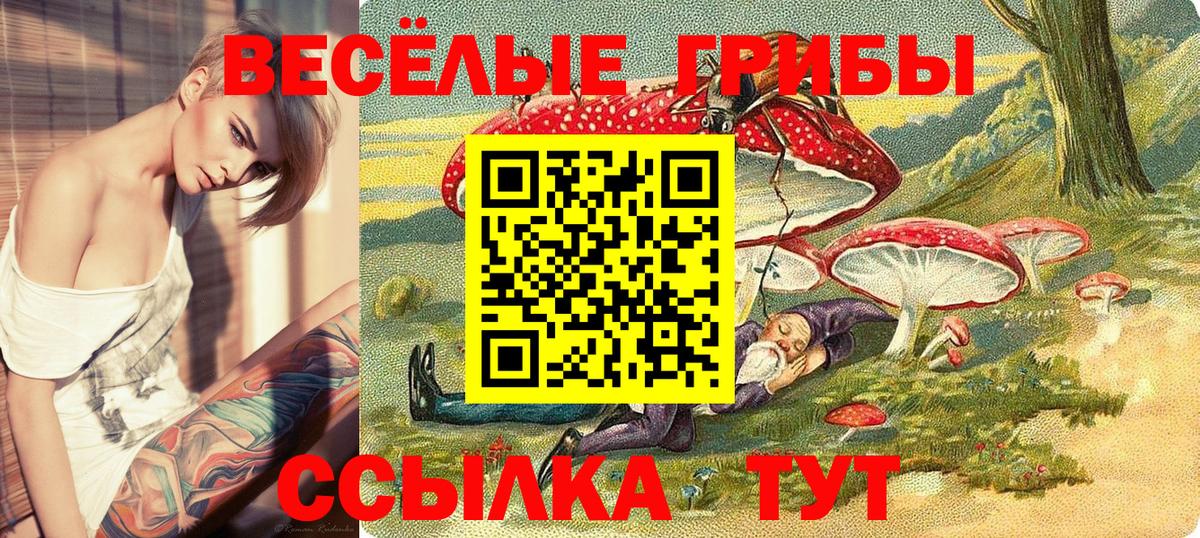 Галлюциногенные грибы мухоморы  Вход с VPN  купить  цена  Иваново 